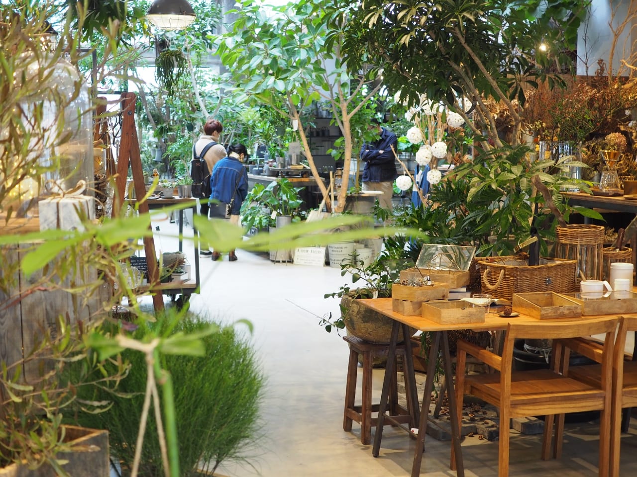 横浜市金沢区 インテリアとガーデニングのお店 Garage Living With Plants 号外net 横浜市磯子区 金沢区