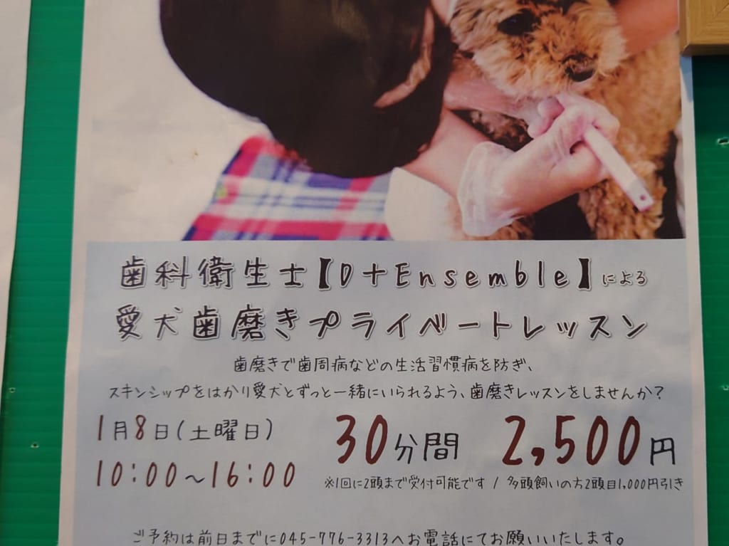 犬イベント2022-1