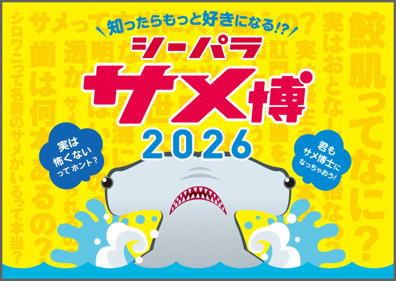 シーパラ サメ博２０２６