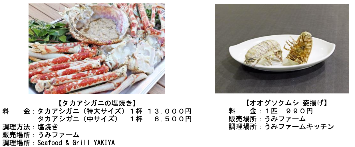 深海生物まつり