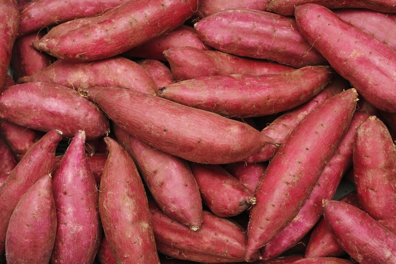 さつまいも