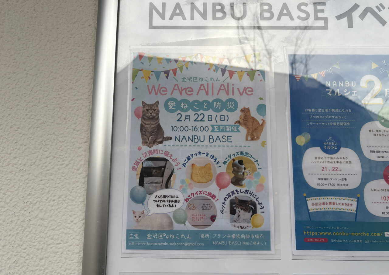 「にゃんぶ」市場