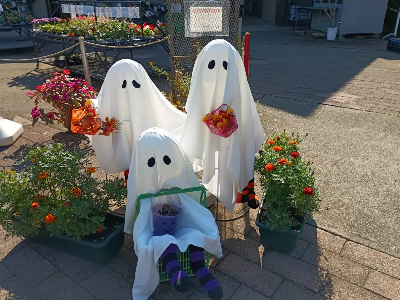 ハロウィン