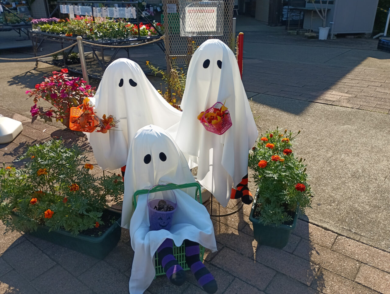 ハロウィン